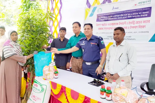 ৫০ সদস্যকে চার হাজার গাছের চারা দিল প্রয়াস
