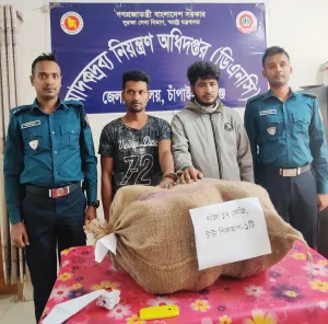 আমনুরায় ডিএনসি’র অভিযানে ১৭ কেজি গাঁজা ও একটি পিকআপসহ গ্রেপ্তার ২