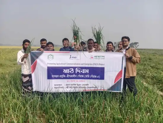 দেবীনগরে গ্রীষ্মকালীন পেঁয়াজের মাঠ দিবস