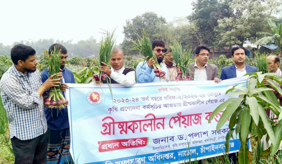 গ্রীষ্মকালীন পেঁয়াজ তোলা শুরু ফলন ও দামে খুশি কৃষকরা