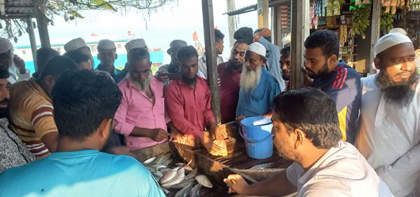 ইলিশ কম, পাঙ্গাস পাওয়ার আসায় মেঘনায় ছুটছে জেলেরা