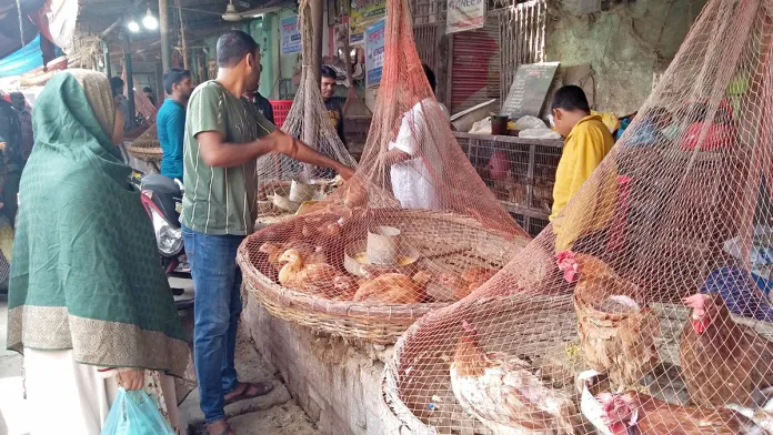 দেশী মুরগির দাম বেড়েছে কমেছে পেঁয়াজের দাম