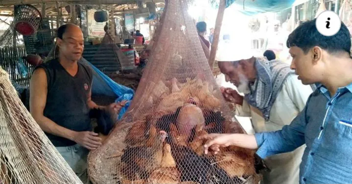 মুরগির বাজার ঊর্ধ্বমুখী কমেছে সবজির দাম
