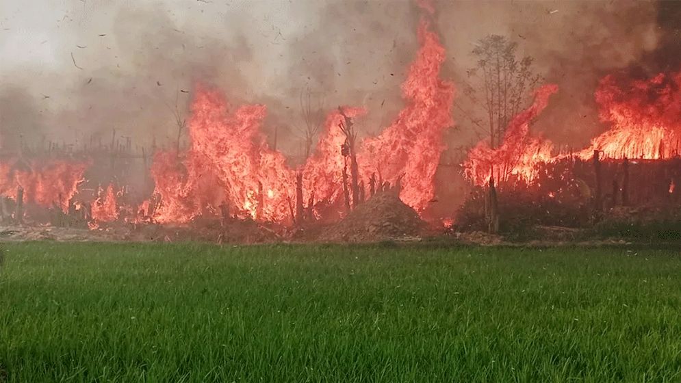 কুষ্টিয়ায় পানের বরজে ভয়াবহ আগুন, নিয়ন্ত্রণে ৮ ইউনিট