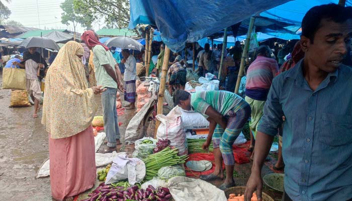 শিবগঞ্জে বেগুন ২ টাকা কেজি
