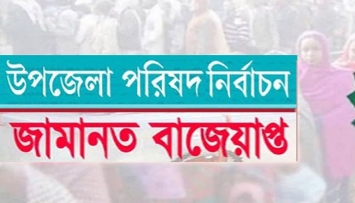 নিয়ামতপুরে উপজেলা পরিষদ নির্বাচনে জামানত হারাচ্ছেন ৬ প্রার্থী