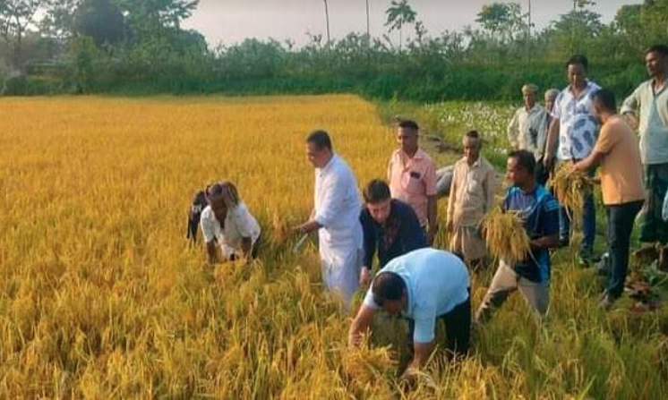 শ্রমিক দিবসে শ্রমিকের পাশে আ‘লীগ