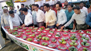 চাঁপাইনবাবগঞ্জে ২২৭ জাতের আম নিয়ে আম মেলা