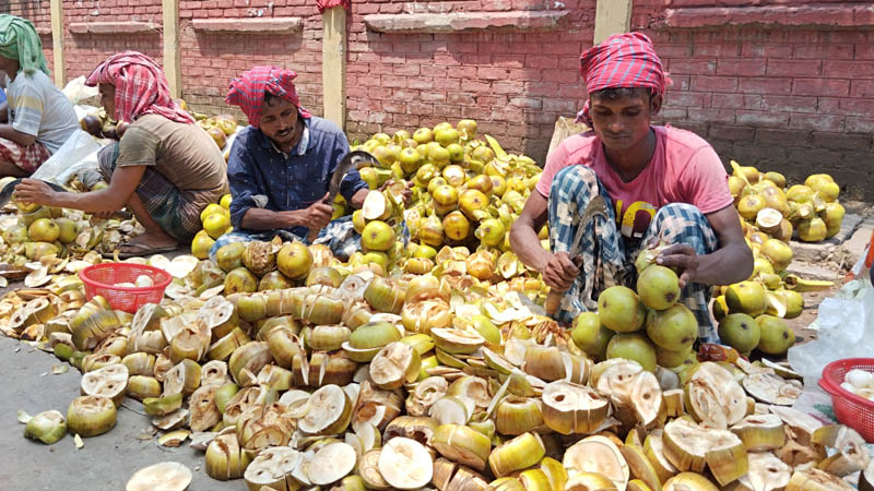 কালের বিবর্তনে হারিয়ে যাচ্ছে তালগাছ!