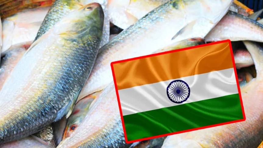 বাংলাদেশের কাছে ইলিশ চেয়ে আবদার ভারতের
