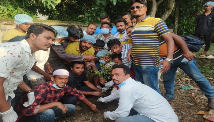 রাজশাহী মহানগর যুবদলের সদস্য সচিব রবি’র নেতৃত্বে পরিছন্নতা ও বৃক্ষরোপন কার্যক্রম