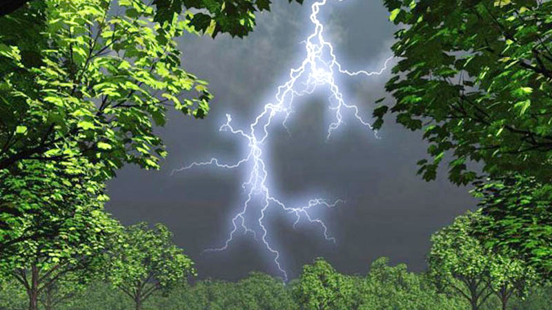 ভোলার চরফ্যাশনে বজ্রপাতে দুই জনের মৃত্যু