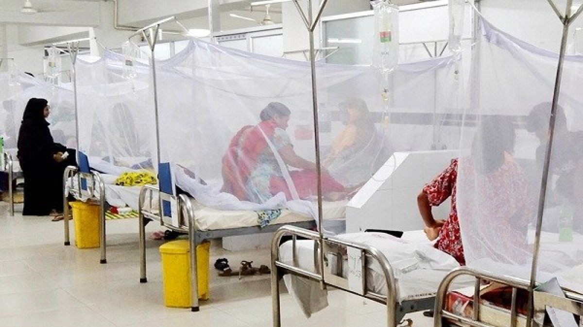 ডেঙ্গুতে ১ দিনে আরও ৬ মৃত্যু
