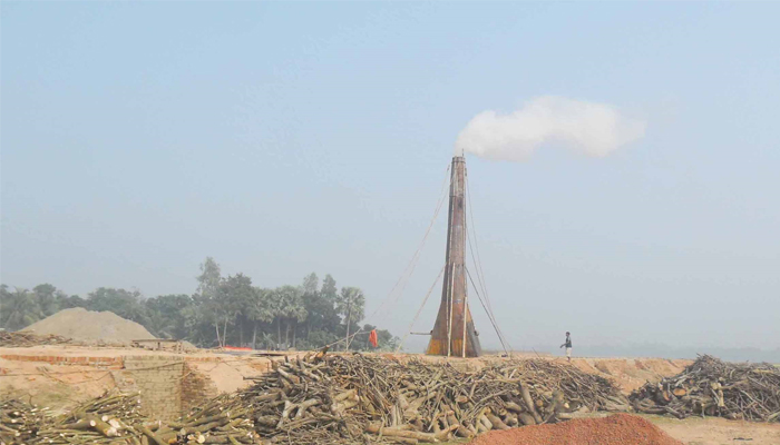 বাগমারায় ইটভাটাগুলোতে পুড়ছে কাঠ