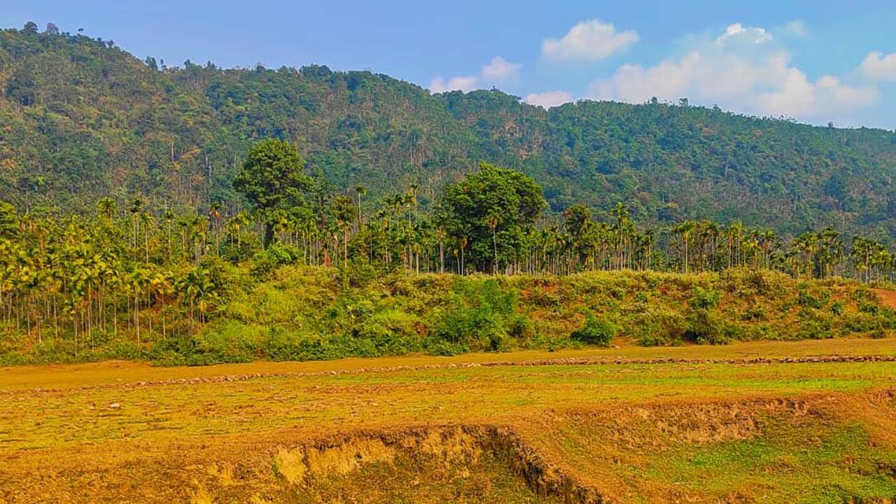 ভারতীয় খাসিয়ার গুলিতে বাংলাদেশি কিশোর নিহত