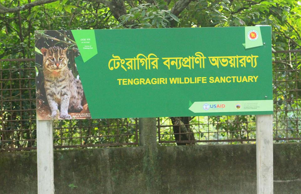 সংস্কারের অভাবে টেংরাগিরি ইকোপার্কের বেহাল দশা, কমেছে দর্শনার্থী