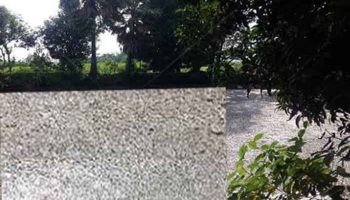 তানোরে একটি পুকুর কুড়ি পরিবারের দুর্ভোগ