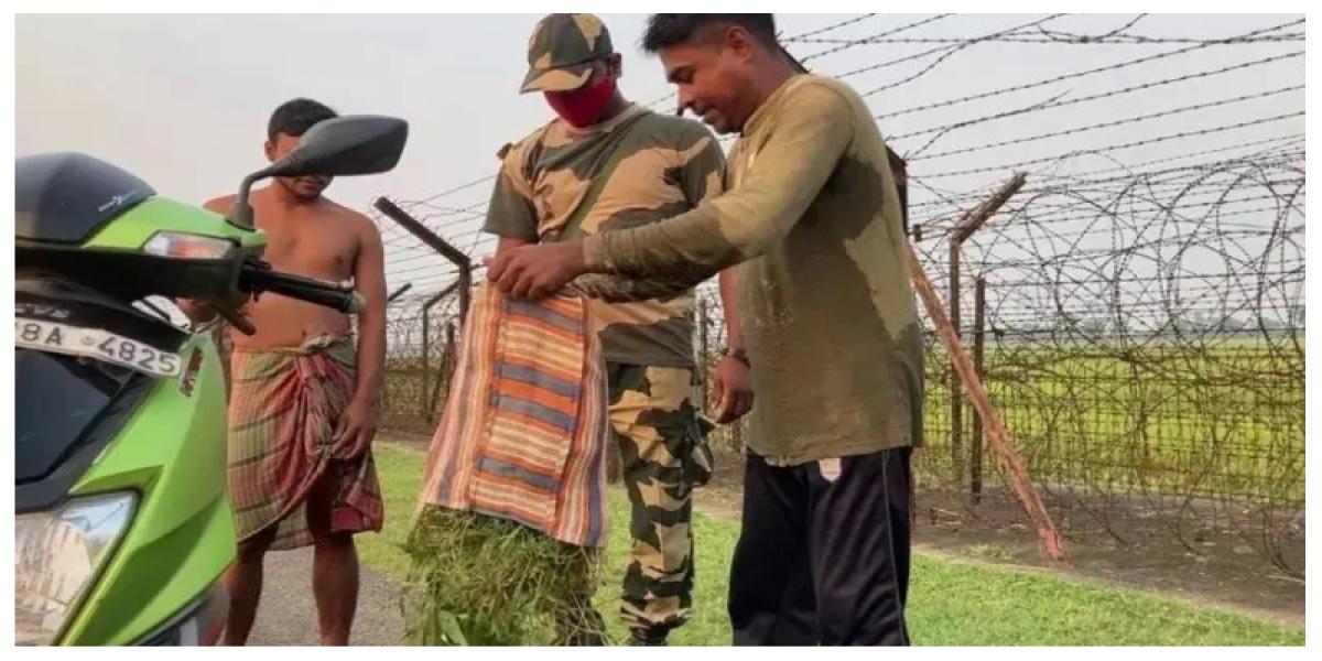 আগস্টের পর বাংলাদেশ থেকে হিন্দুরা নয়, মুসলিমরাই বেশি ভারতে গেছেন!