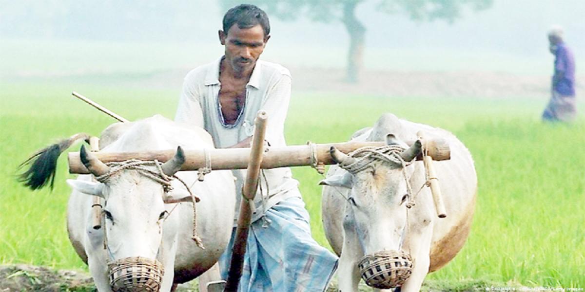 অভিযাত্রা স্বপ্নপূরণের