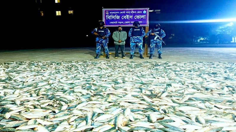 তেঁতুলিয়া নদীতে কোষ্টগার্ডের অভিযানে ৪ শত মণ অবৈধ জাটকা জব্দ