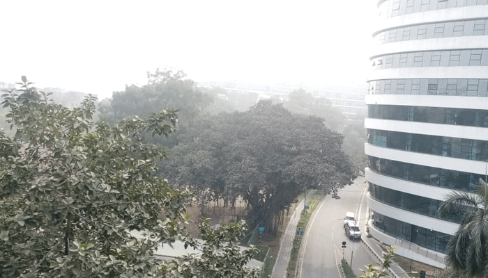 ঢাকার আকাশে সূর্যের হাসি, কমেছে শীত