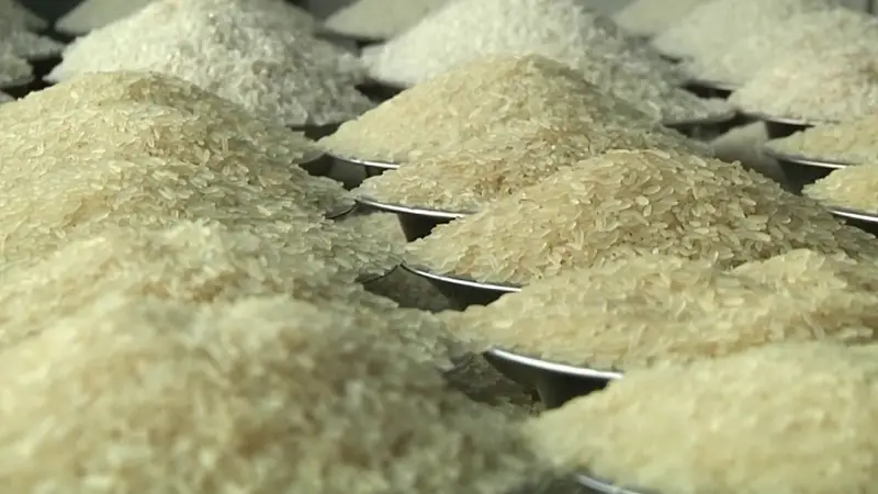 চালের দাম সামান্য কমলেও ভোজ্যতেল নিয়ে সংকট