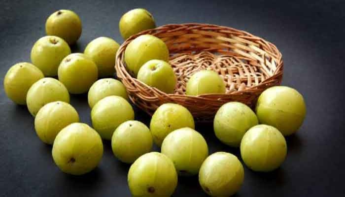আমলকি যে কারণে ভিটামিন সি-র সেরা উৎস