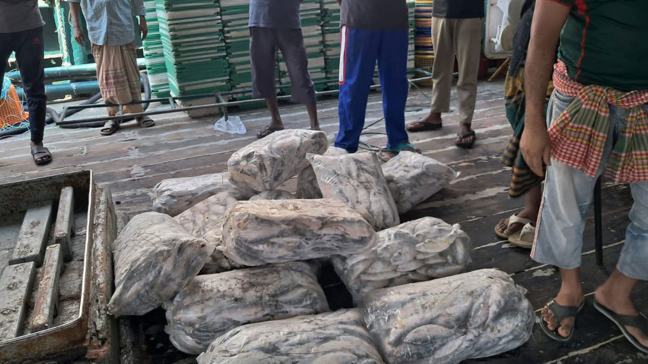 কর্ণফুলীতে ৩৭৮ কেজি জাটকা জব্দ