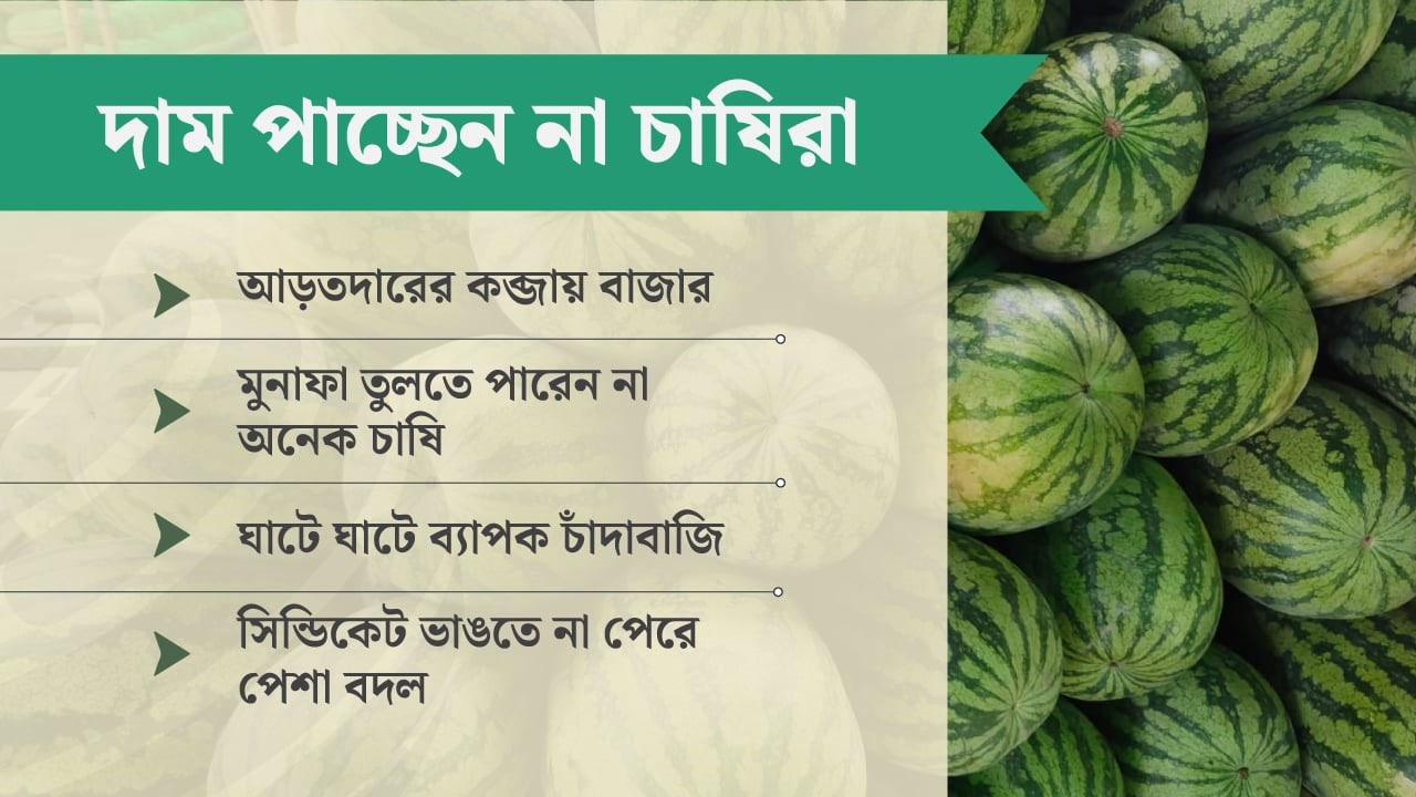 তরমুজ চাষে আগ্রহ হারাচ্ছেন দক্ষিণাঞ্চলের চাষিরা
