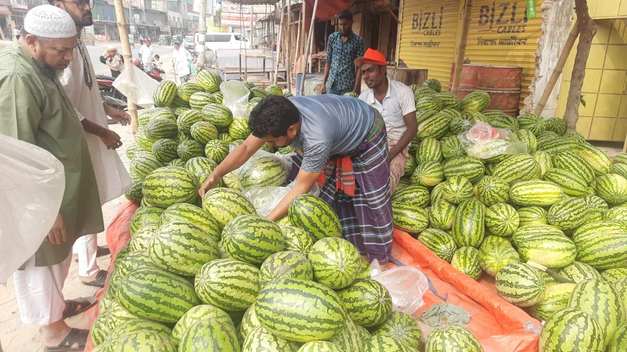 বাজারে ভরপুর তরমুজ, দামেও স্বস্তি