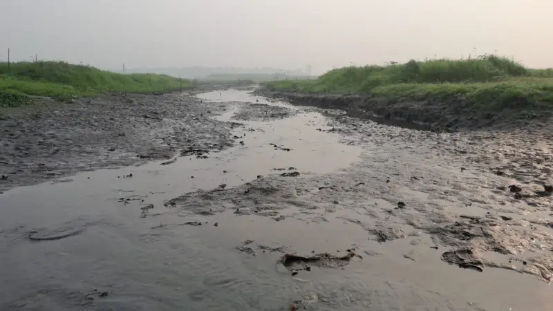 ড্রেজিং না হওয়ায় মেঘনার শাখা নদী শুকিয়ে বিপর্যয়ের মুখে বাঞ্ছারামপুর