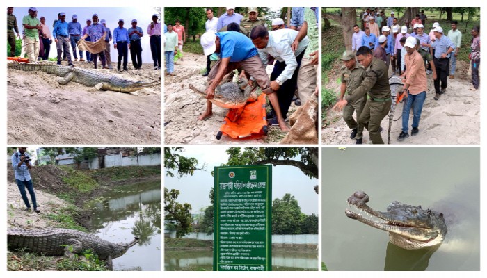 রাজশাহীতে প্রথম ঘড়িয়াল প্রজনন কেন্দ্র উদ্বোধন