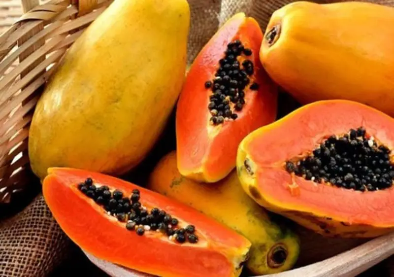 ক্যান্সার প্রতিরোধসহ পেঁপের বীজ খাওয়ার যে ৯ টি উপকারীতা অনেকেরই অজানা