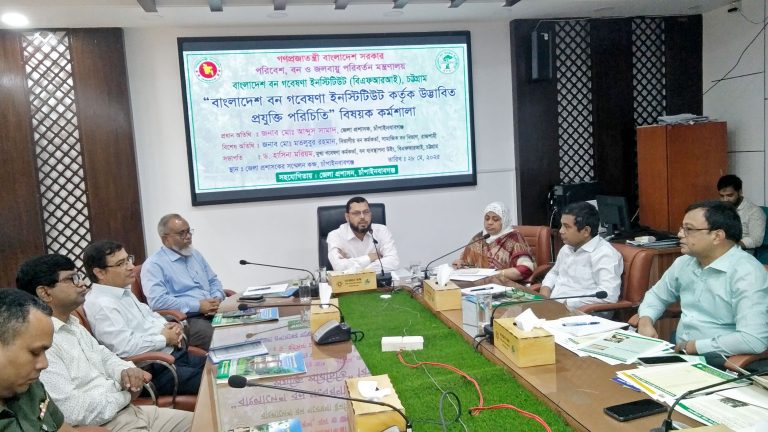 বাঁশের তৈরি আসবাব ব্যবহারে গুরুত্বারোপ