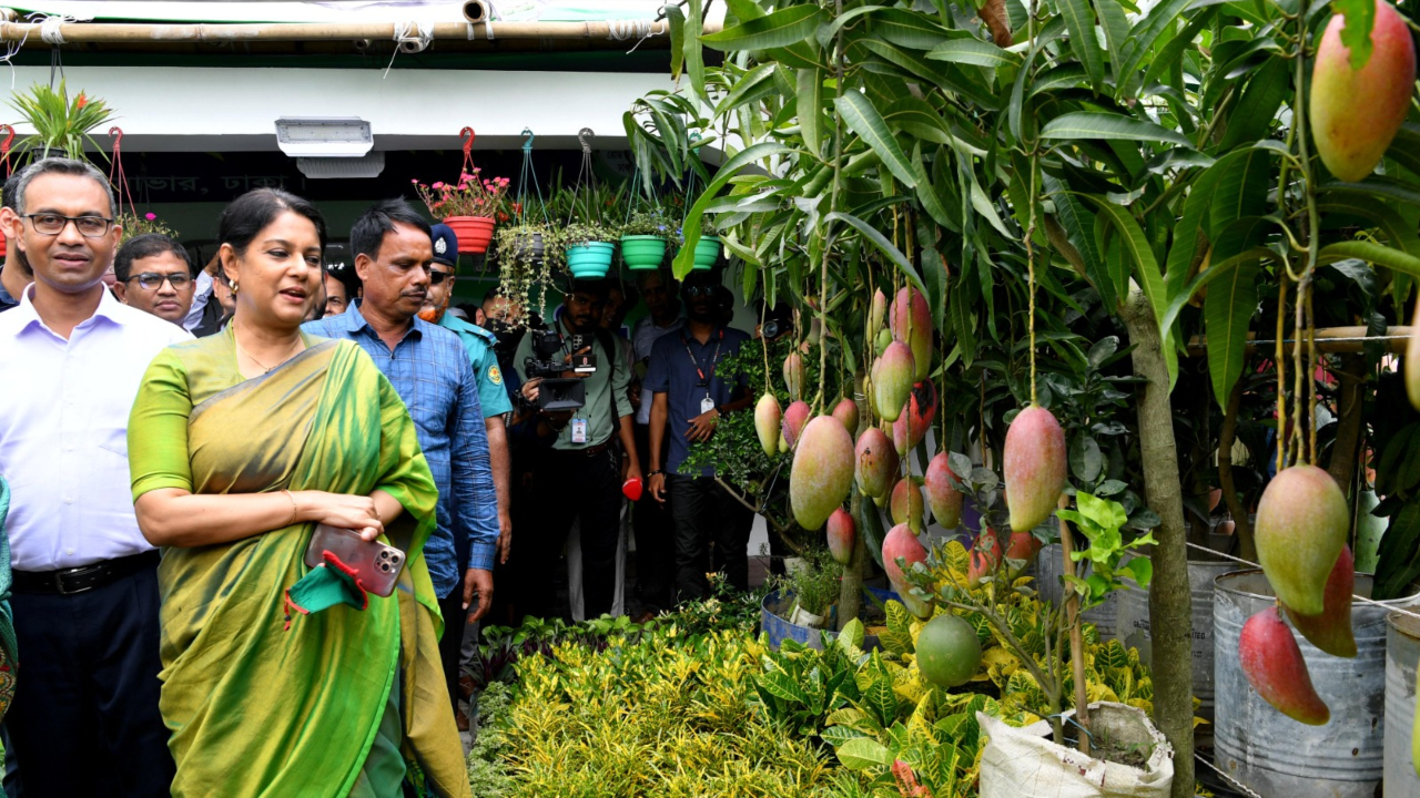 সুপারশপগুলো শতভাগ পলিথিনমুক্ত হয়েছে : পরিবেশ উপদেষ্টা