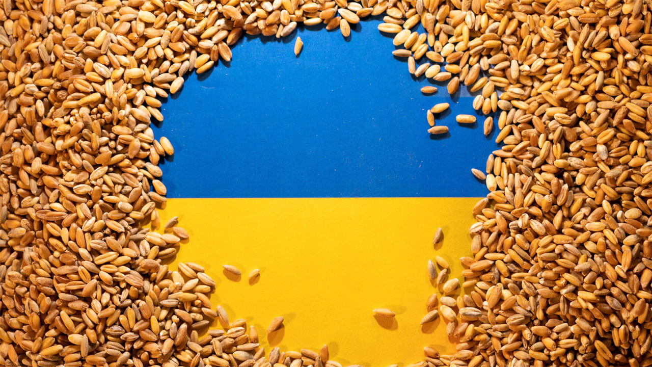 ‘চুরি করা গম’ কেনায় বাংলাদেশি কোম্পানির বিরুদ্ধে নিষেধাজ্ঞা চায় ইউক্রেন
