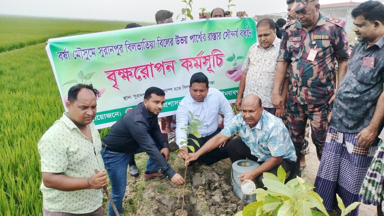 ভোলাহাটে বিলের রাস্তার সৌন্দর্যবর্ধনে বৃক্ষ রোপণ