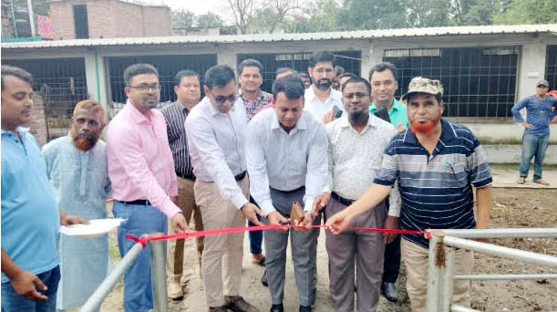 শিবগঞ্জে জলবায়ু সহিষ্ণু গাভীর শেড উদ্বোধন