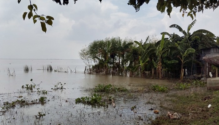 রাজশাহীতে চতুর্থবারের মতো বাড়ছে নদ-নদীর পানি, প্লাবিত হচ্ছে নিম্নাঞ্চল