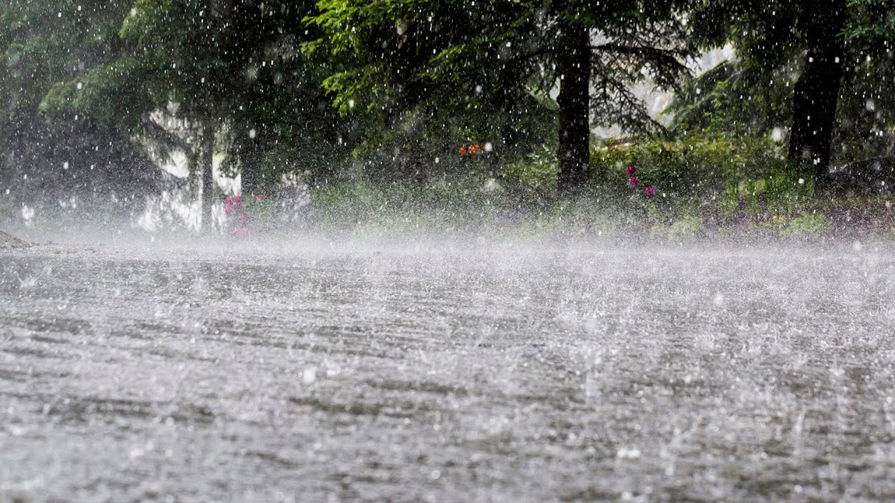 পাঁচদিন টানা বৃষ্টির আভাস