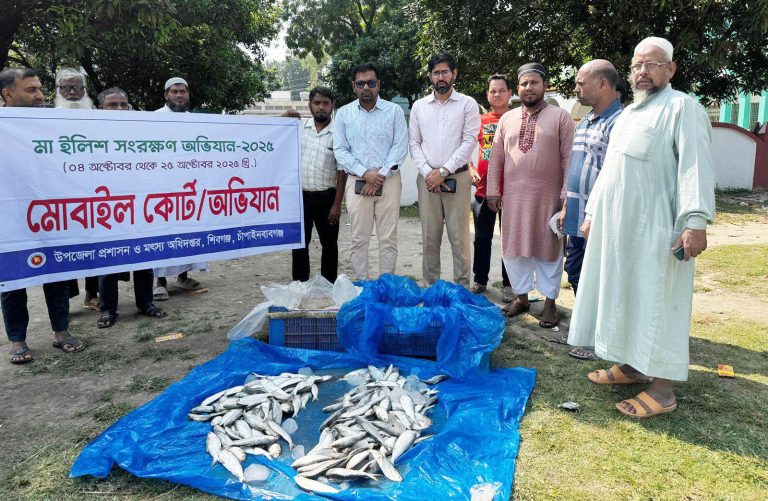 মা ইলিশ সংরক্ষণ অভিযানে শিবগঞ্জে ৫৫ কেজি ইলিশ জব্দ