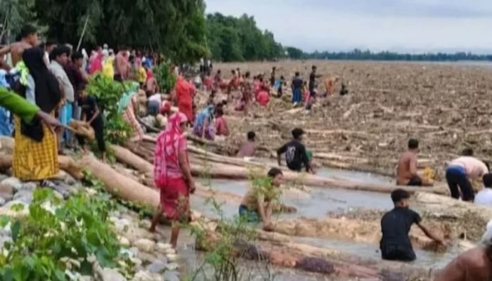 ‘ভারত থেকে’ ভেসে আসছে হাজার হাজার গাছের গুঁড়ি