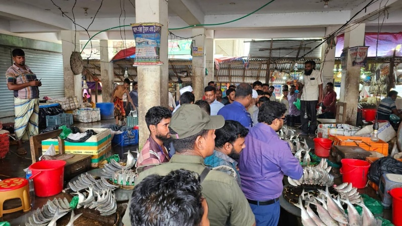 বোরহানউদ্দিনে নিষেধাজ্ঞা অমান্য করে ইলিশ বিক্রির দায়ে ৩ জনকে জরিমানা বোরহানউদ্দিনে নিষেধাজ্ঞা অমান্য করে ইলিশ বিক্রির দায়ে ৩ জনকে জরিমানা