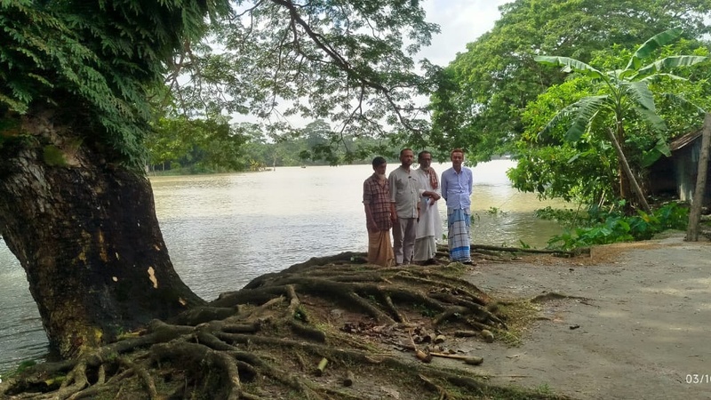 নেছারাবাদে শতবর্ষী গাছ ও বাজার রক্ষার দাবি এলাকাবাসীর