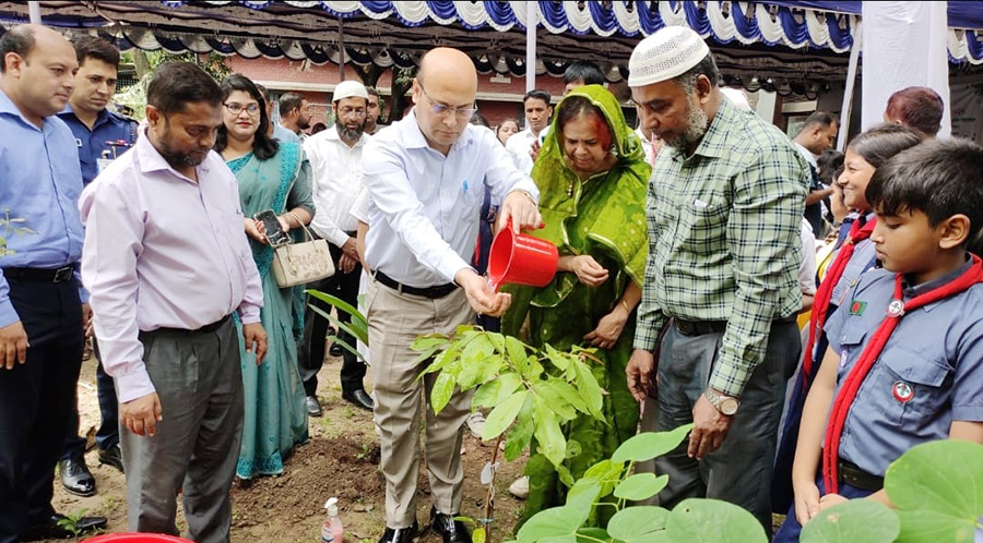 চাঁপাইনবাবগঞ্জজুড়ে সরকারি প্রাথমিকে বৃক্ষরোপণ কর্মসূচি