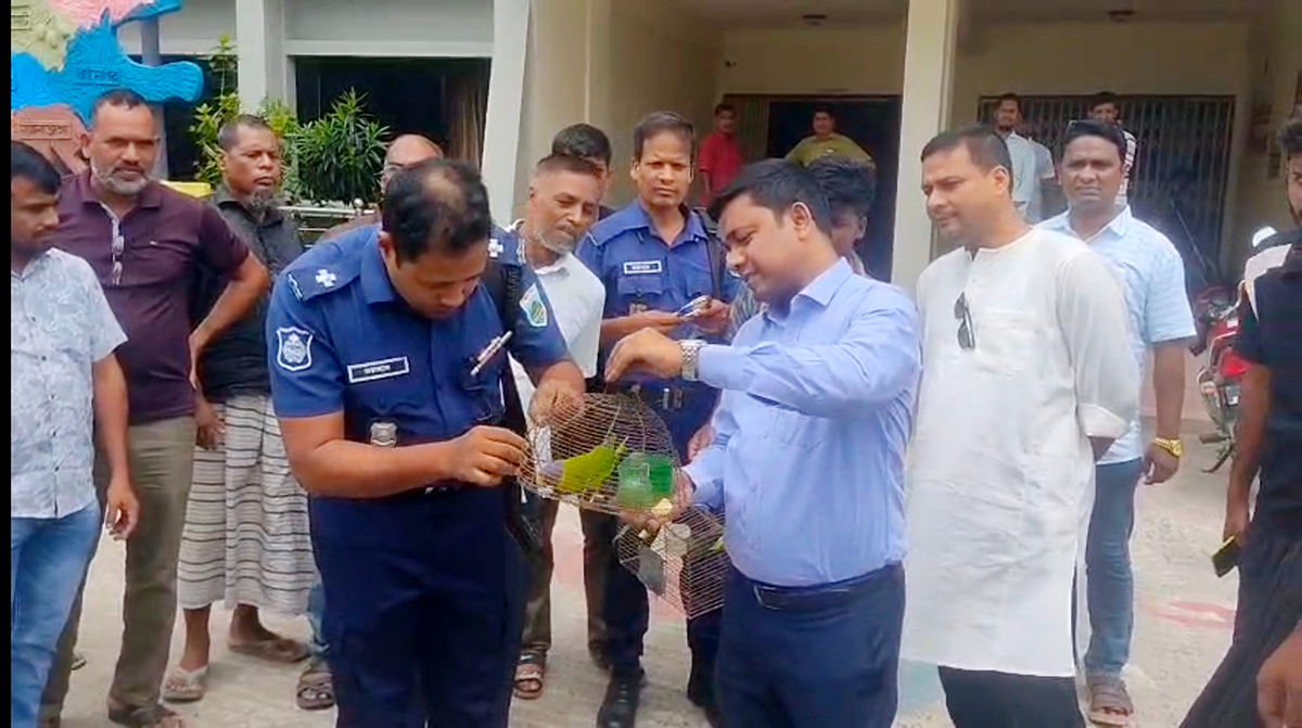 শিবগঞ্জে পাখি শিকারের দায়ে জরিমানা : অবমুক্ত টিয়াপাখি